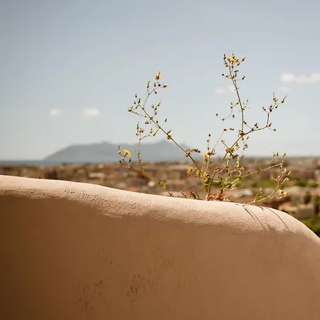 بيت ضيافة Vicolo Effe تيراتشينا